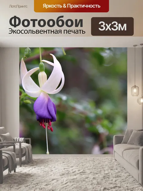 Фотообои Фуксии