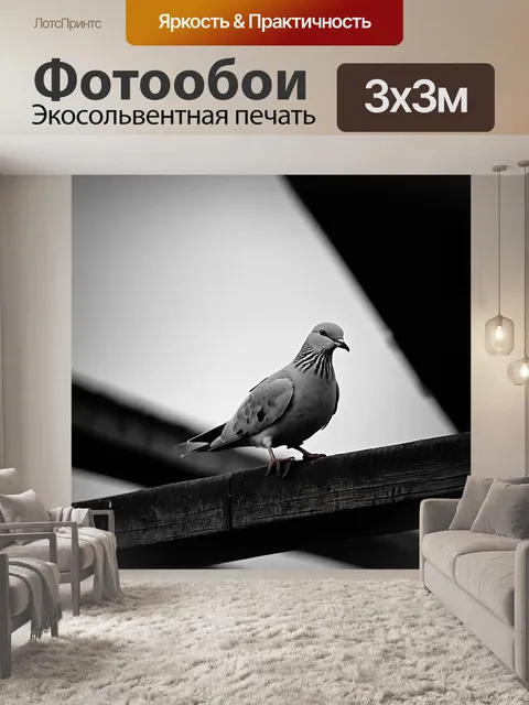 Фотообои черно-белая фотография голубя, сидящего на перилах старого мостика