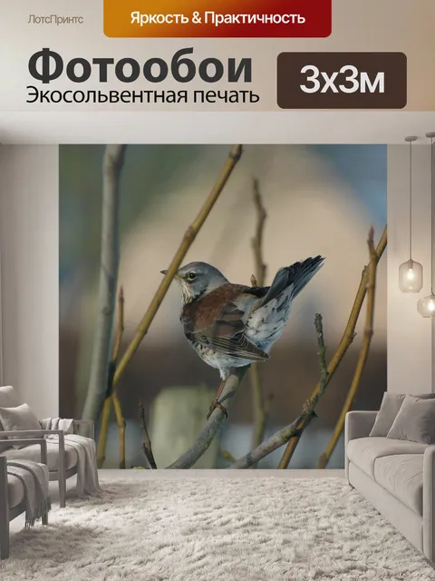 Фотообои Молочница
