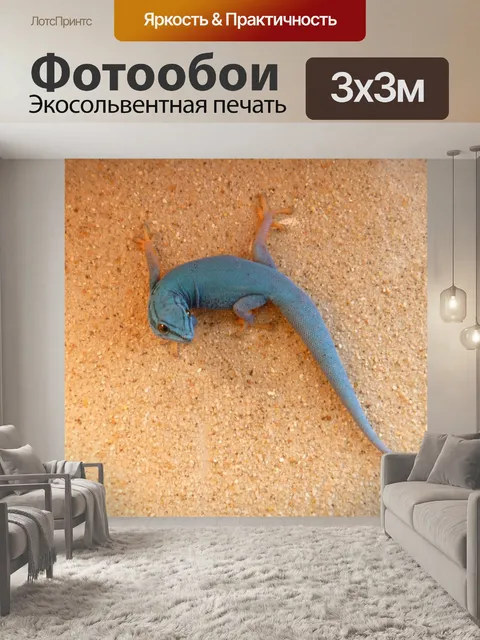 Фотообои Лазурный