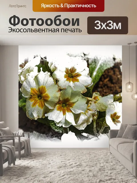 Фотообои Вечнозеленая роза