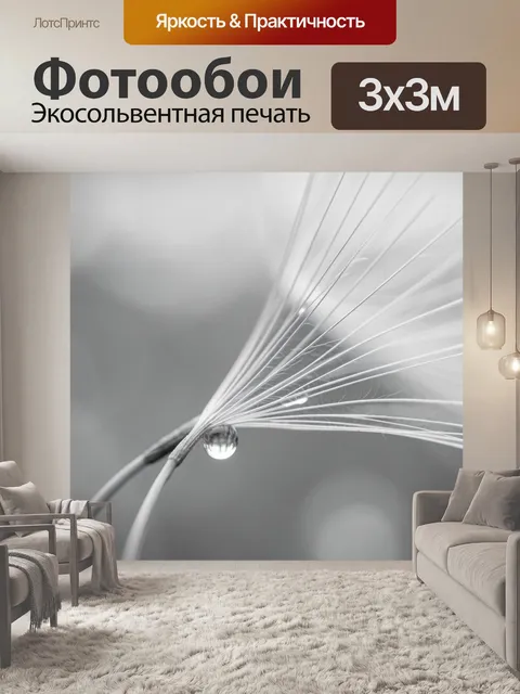 Фотообои Белый одуванчик с каплей росы