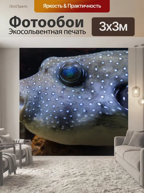 Фотообои Рыба фугу