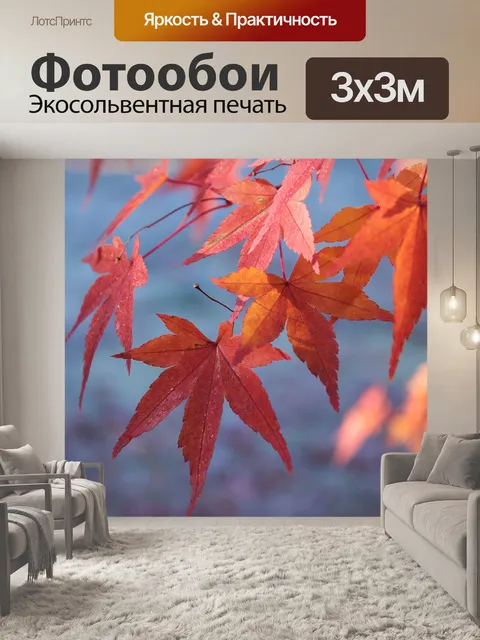 Фотообои Осень