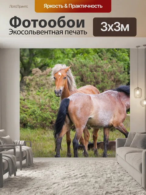 Фотообои Лошади