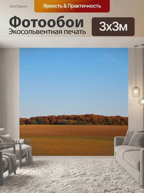 Фотообои Лиственный лес