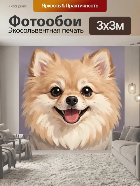 Фотообои Улыбающийся пушистый шпиц