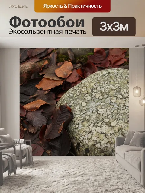 Фотообои Камень