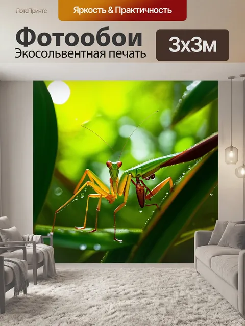 Фотообои близкий план поедания насекомого богомолом в ярком