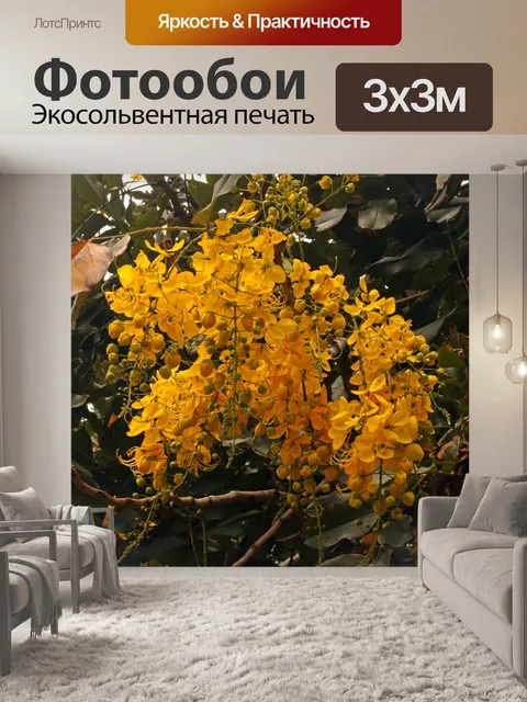 Фотообои цветы золотого дождя