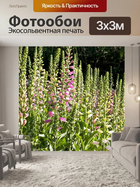 Фотообои Цветник на горе Дои Интанон