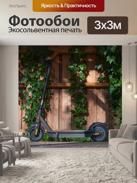 Фотообои E-scooter