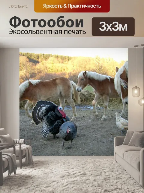 Фотообои Двор фермы