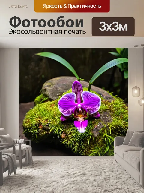 Фотообои орхидея, растущая на камне, обвешанном мхом, в затененном уголке сада