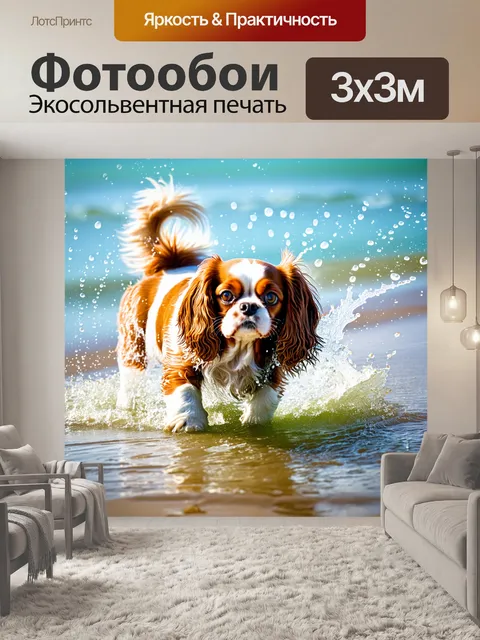 Фотообои кавалер кинг чарльз спаниель играет в воде на пляже, с брызгами капель, которые светятся на солнце