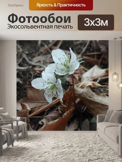 Фотообои Изменения в кислотно цветочный бриз