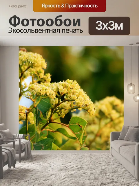 Фотообои цветочки на японских изюмом дерева