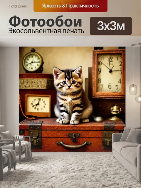 Фотообои маленький британский котенок