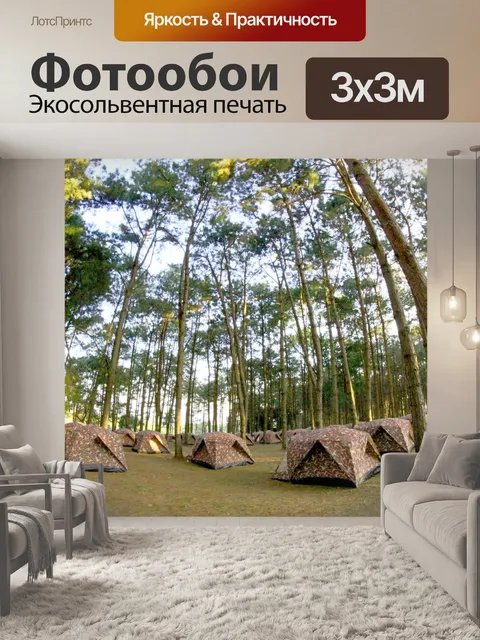 Фотообои кемпинг в сосновом Форрест на Фу Хин Рон
