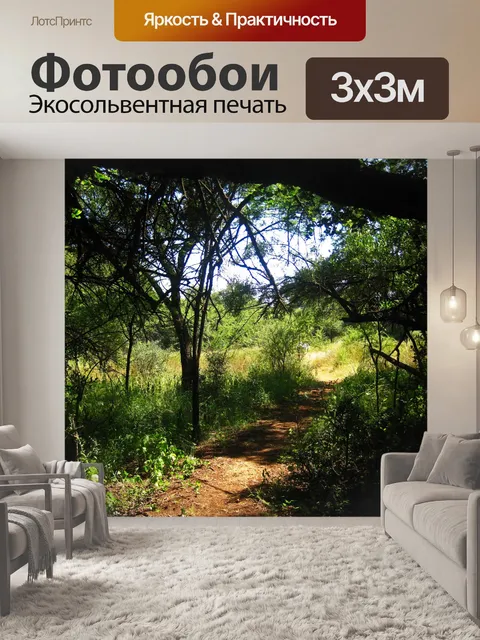 Фотообои ветка дерева и тень на пешеходной тропе