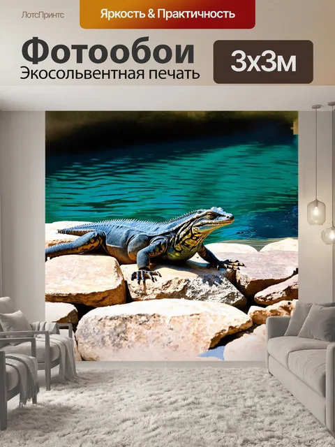 Фотообои монитор, покоящийся на теплых камнях, у пруда с кристально чистой водой