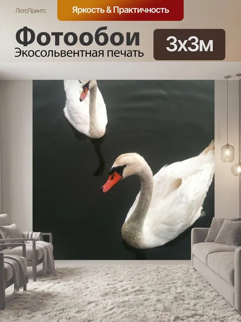 Фотообои Лебеди на пруду