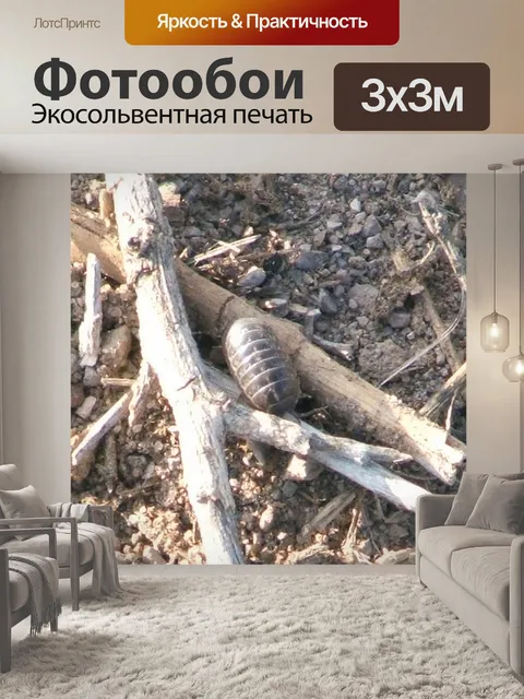 Фотообои Roly Poly ошибках
