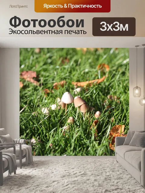 Фотообои Осень