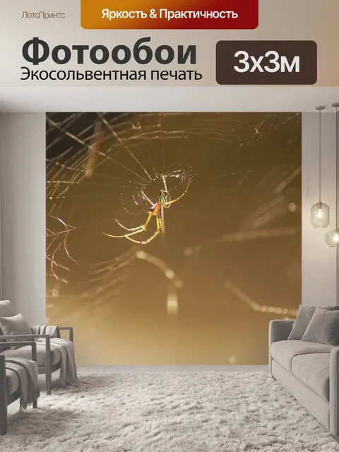 Фотообои Картинки