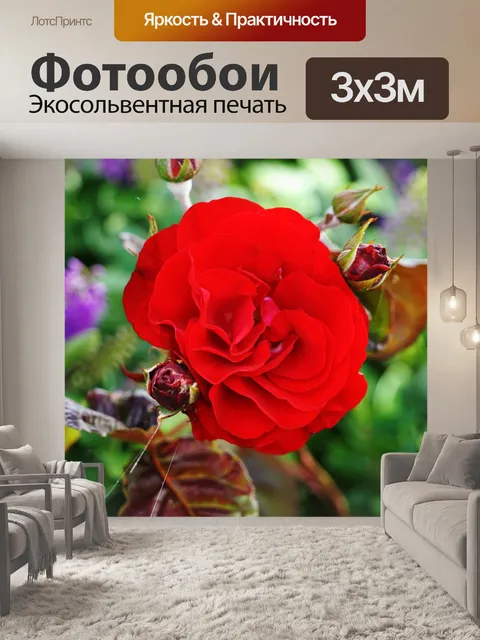 Фотообои Красные розы.