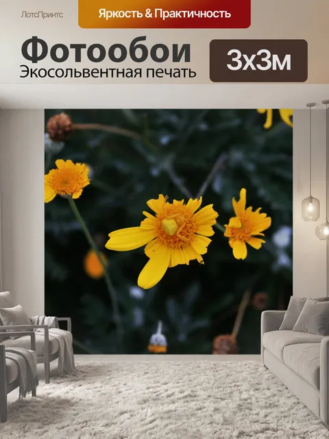 Фотообои Желтый краб паук на желтом ромашки