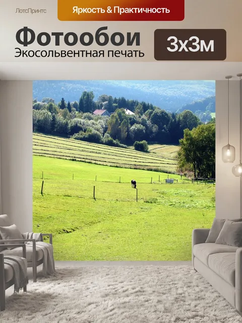 Фотообои Пастбище с лошадьми