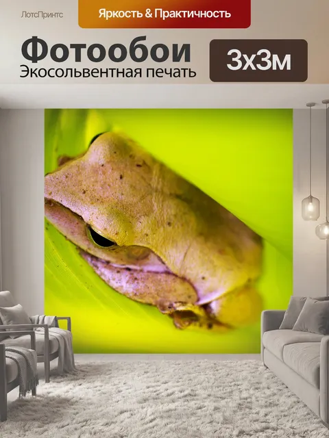 Фотообои Дерево