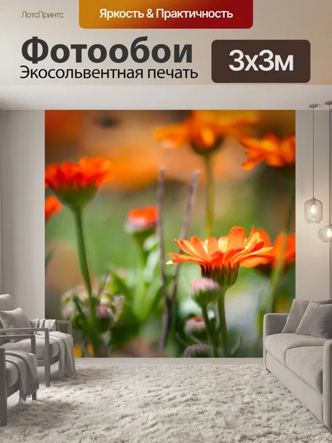 Фотообои Бархатцы
