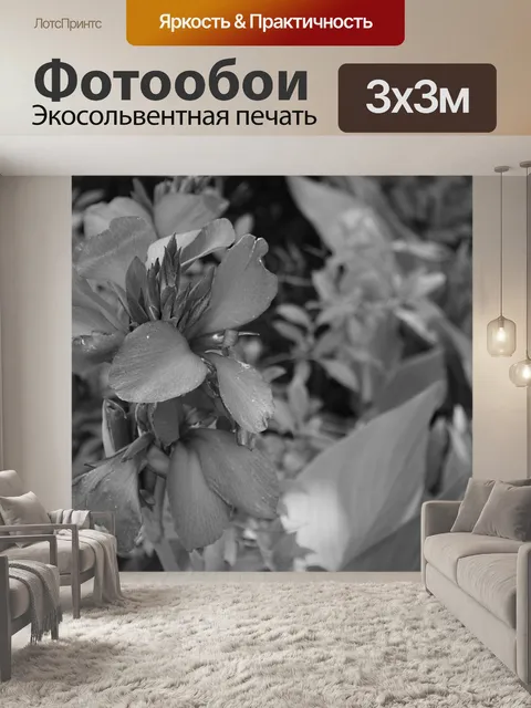 Фотообои Серый цветок