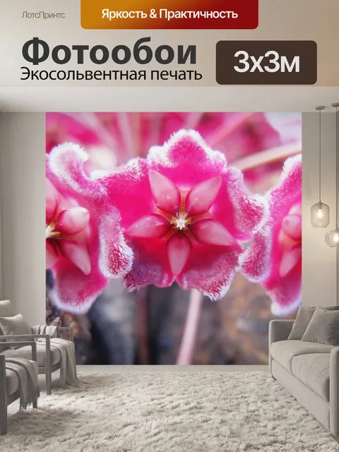Фотообои Waxplant цветочки