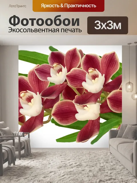 Фотообои Цветы