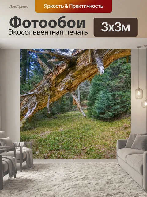 Фотообои Дерево
