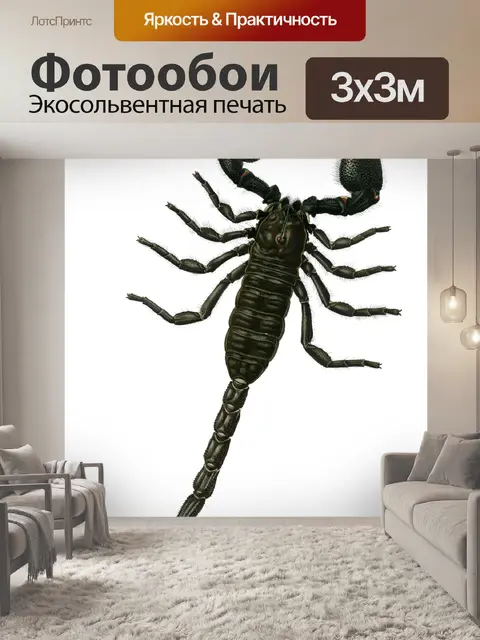 Фотообои Клипарт Scorpion vintage old