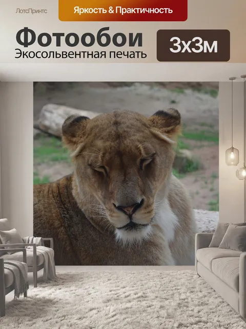 Фотообои Львица