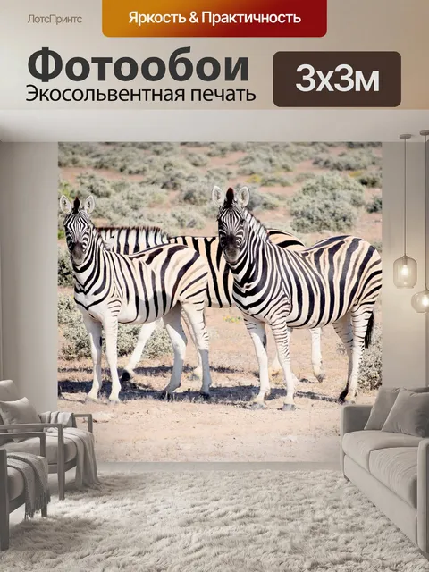 Фотообои Зебра