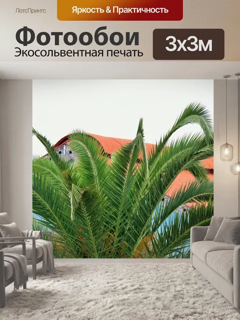 Фотообои финиковая пальма, декоративные