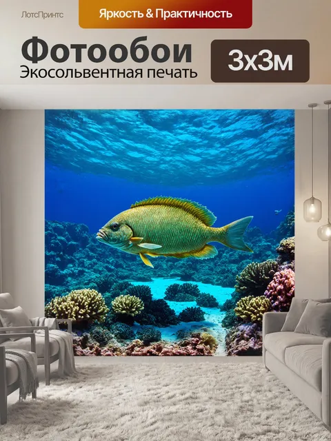 Фотообои наполеон губан, величественная рыба с массивным телом и характерным выступом на лбу, медленно плывет среди…