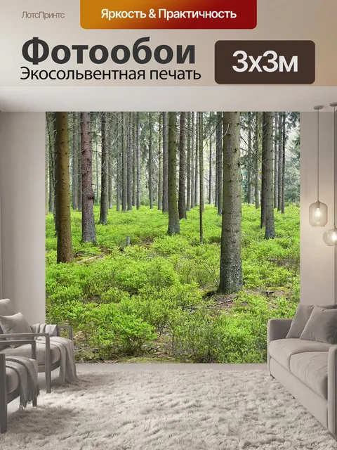 Фотообои Лес