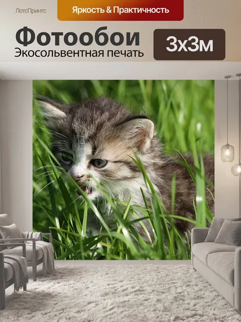 Фотообои Котёнок