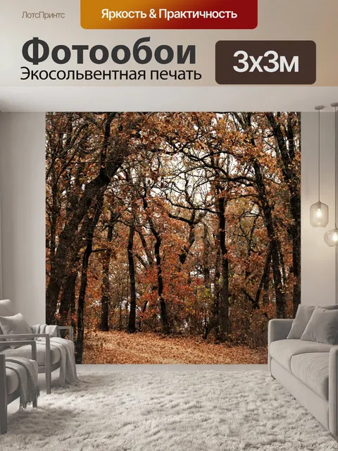 Фотообои Путь в лесу осенью