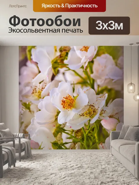 Фотообои Кустовая роза