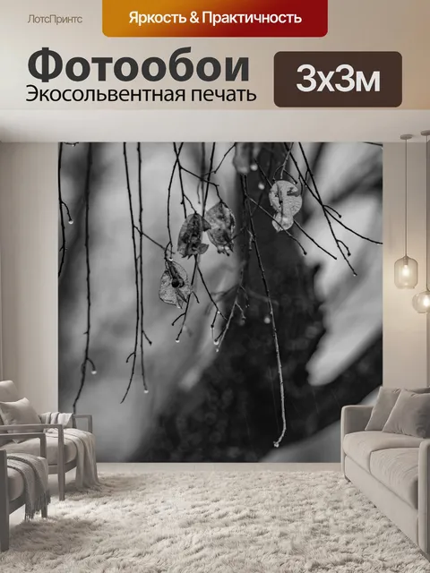 Фотообои Дождь на деревьях черный и белый
