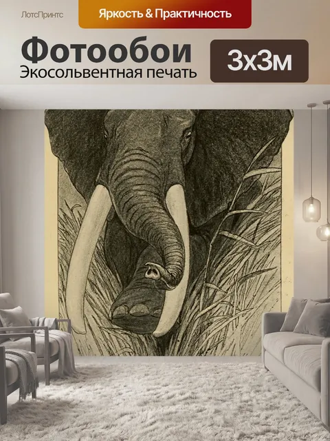 Фотообои Слон африканское приключение