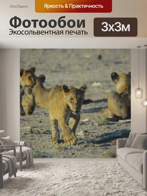 Фотообои Львята